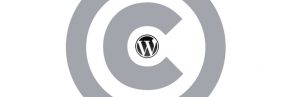 Word Press Коракианит защита авторских прав